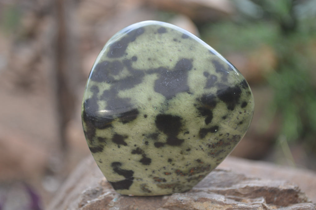 Polished Leopard Stone Standing Free Forms x 6 From Nyanga, Zimbabwe - Toprock Gemstones and Minerals 