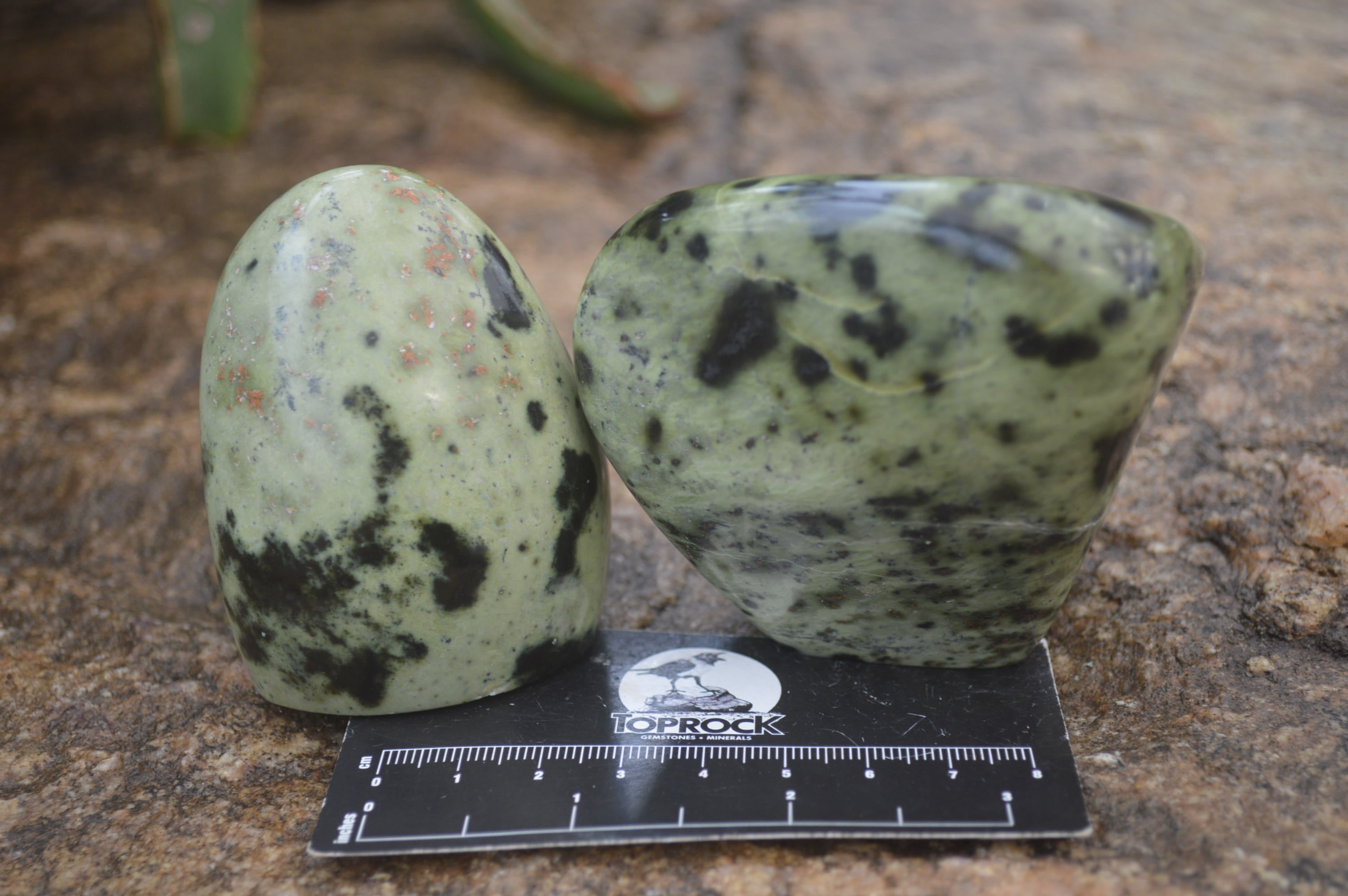 Polished Leopard Stone Standing Free Forms x 6 From Nyanga, Zimbabwe - Toprock Gemstones and Minerals 