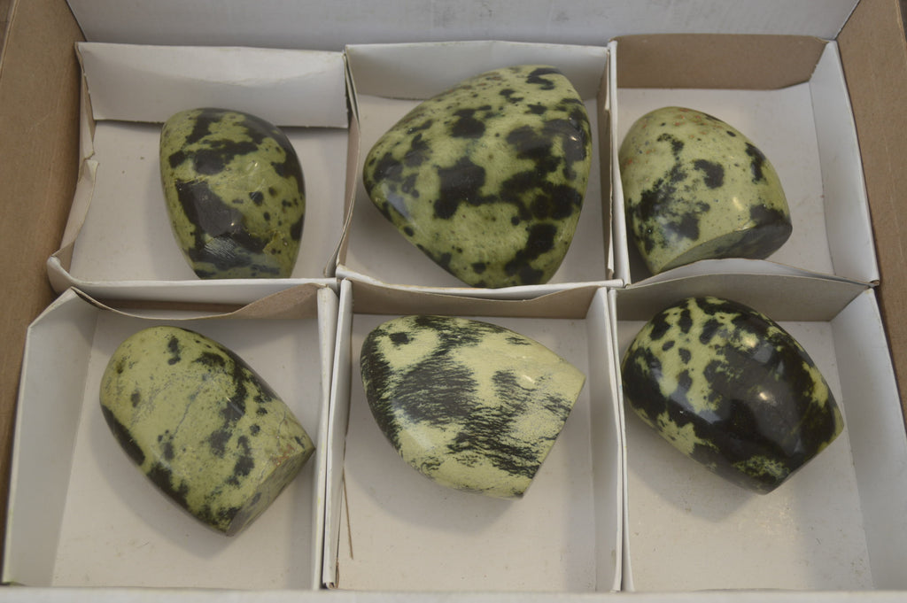 Polished Leopard Stone Standing Free Forms x 6 From Nyanga, Zimbabwe - Toprock Gemstones and Minerals 