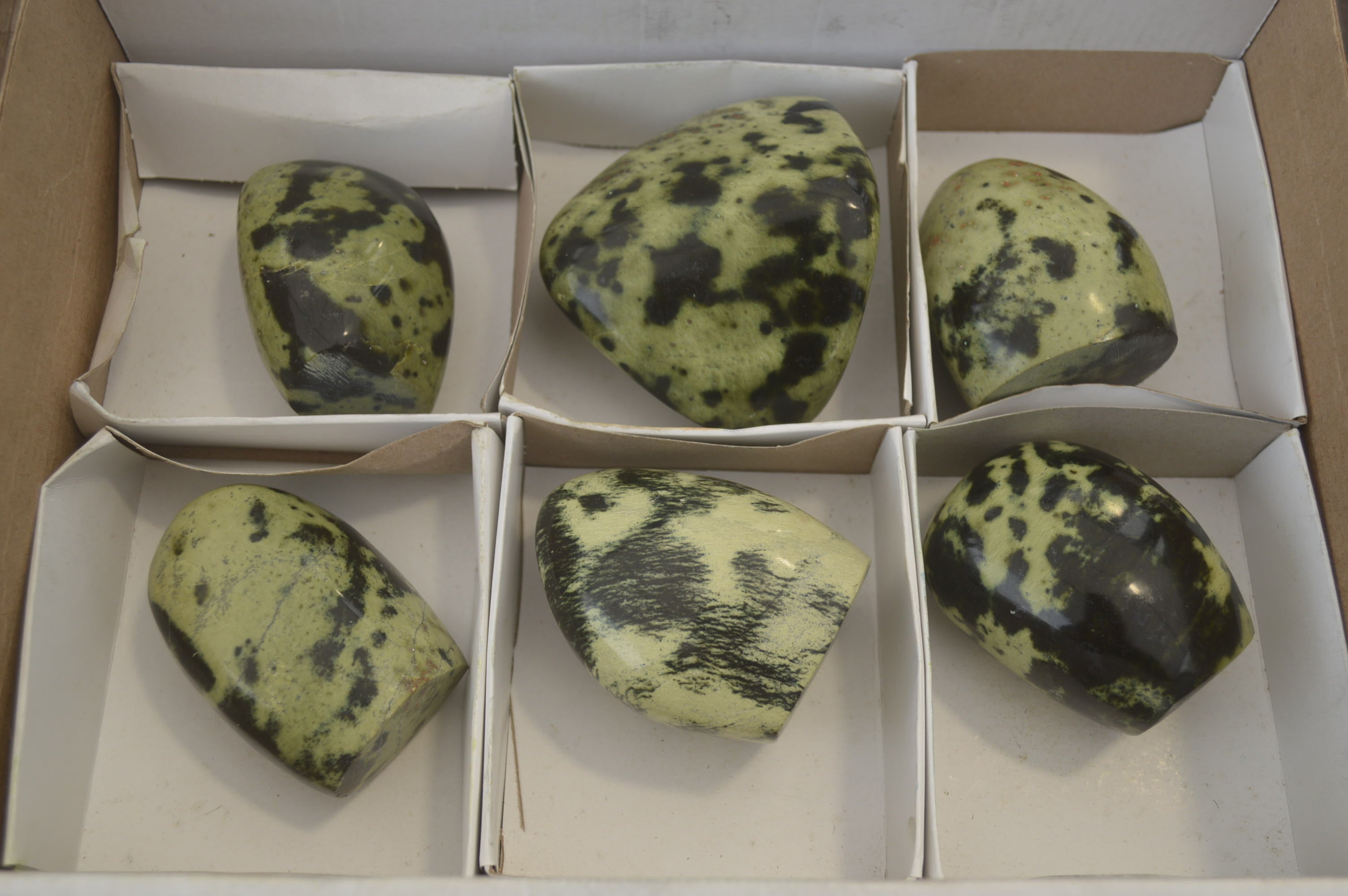 Polished Leopard Stone Standing Free Forms x 6 From Nyanga, Zimbabwe - Toprock Gemstones and Minerals 