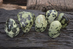 Polished Leopard Stone Standing Free Forms x 6 From Nyanga, Zimbabwe - Toprock Gemstones and Minerals 