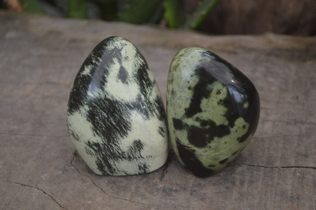 Polished Leopard Stone Standing Free Forms x 6 From Nyanga, Zimbabwe - Toprock Gemstones and Minerals 