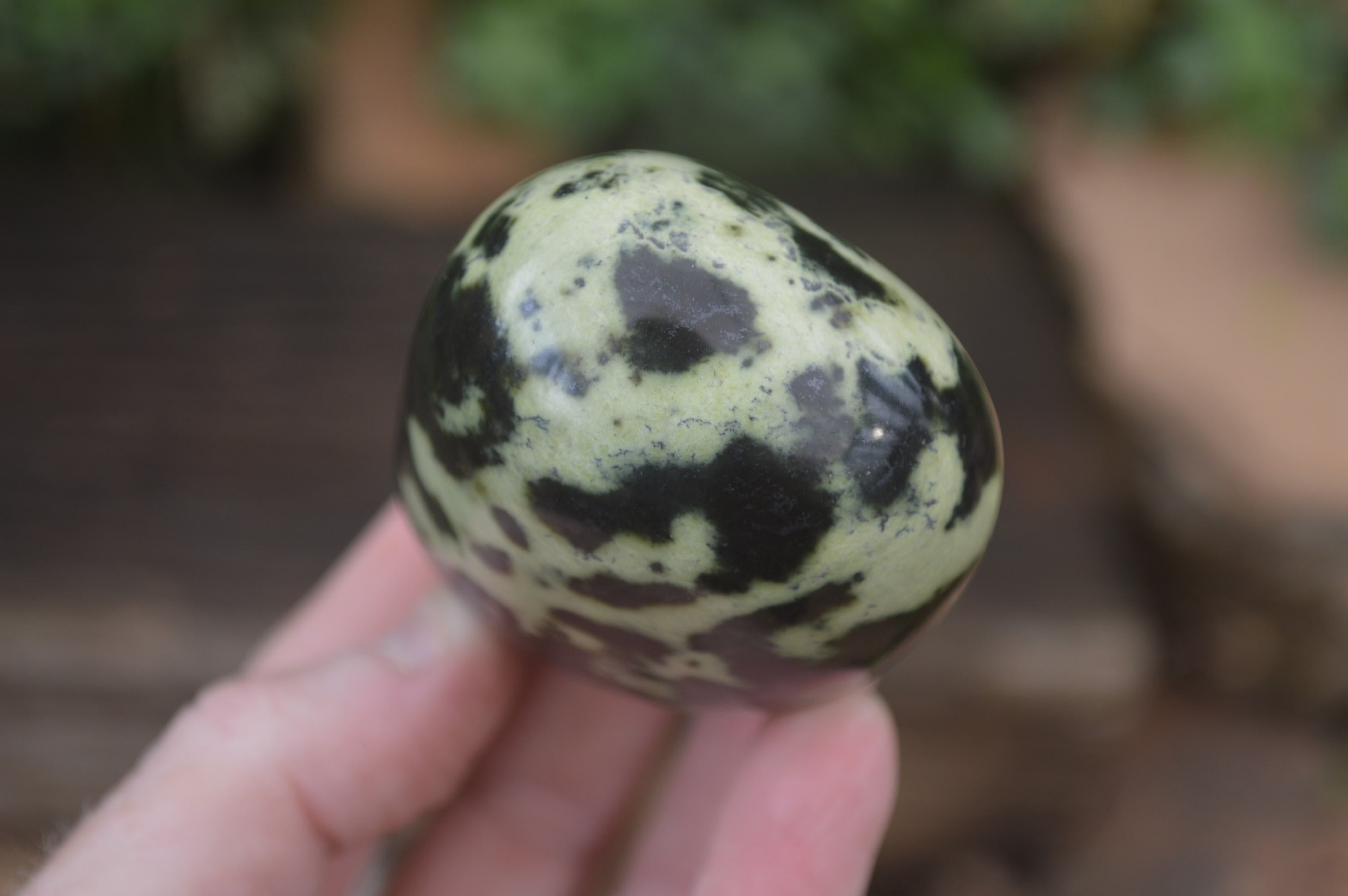 Polished Leopard Stone Standing Free Forms x 6 From Nyanga, Zimbabwe - Toprock Gemstones and Minerals 