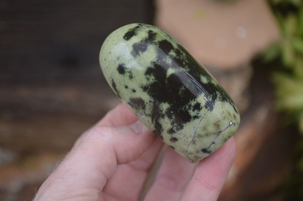 Leopard Spot Rocks Polished Leopard Stone Standing Free Forms x 6 From Nyanga, Zimbabwe ...