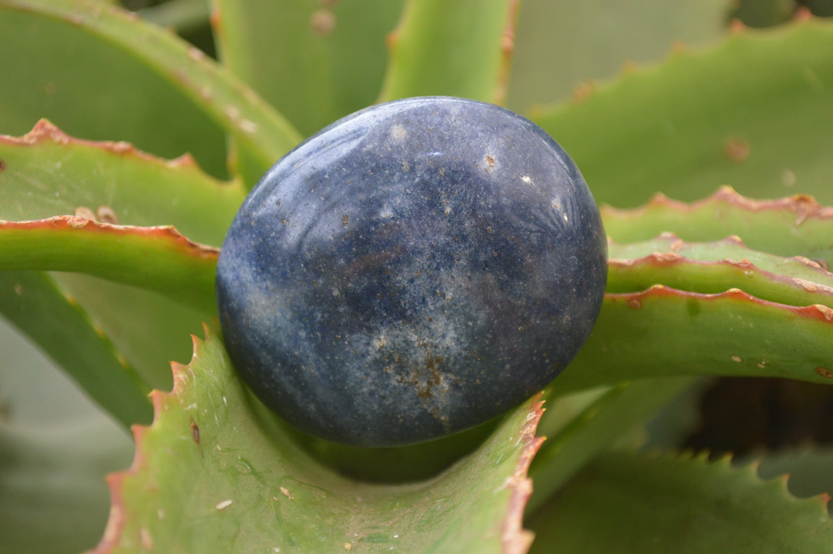 Polished Lazulite Galet-Palm Stones x 20 From Madagascar - Toprock Gemstones and Minerals 
