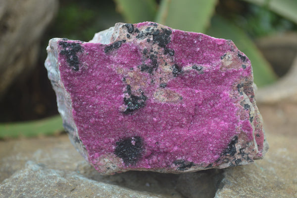 Natural Salrose Cobaltion Dolomite Specimens x 6 From Kakanda, Congo - Toprock Gemstones and Minerals 
