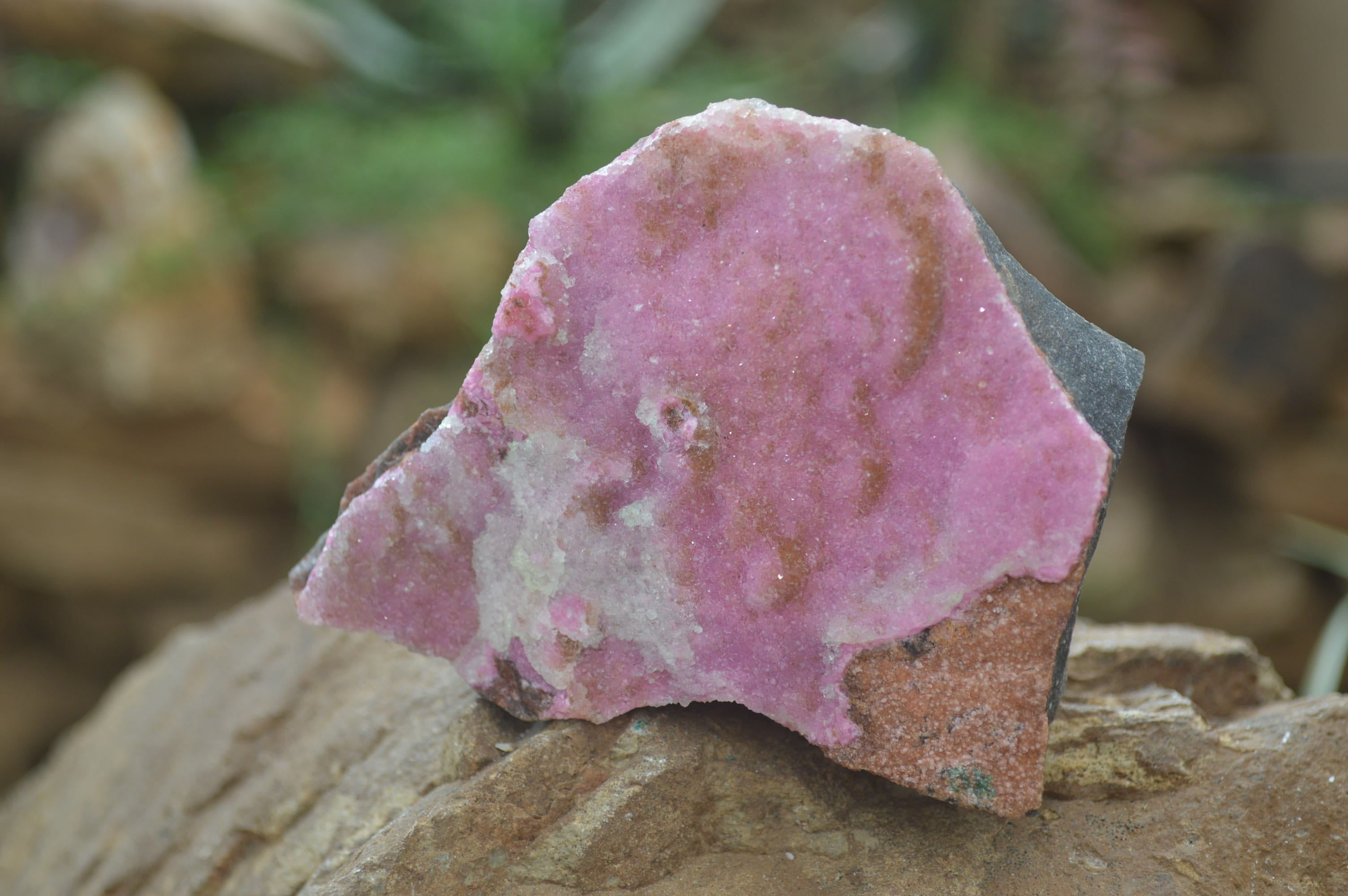 Natural Salrose Cobaltion Dolomite Specimens x 6 From Kakanda, Congo - Toprock Gemstones and Minerals 