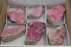 Natural Salrose Cobaltion Dolomite Specimens x 6 From Kakanda, Congo - Toprock Gemstones and Minerals 