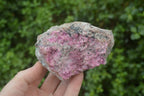 Natural Salrose Cobaltion Dolomite Specimens x 6 From Kakanda, Congo - Toprock Gemstones and Minerals 