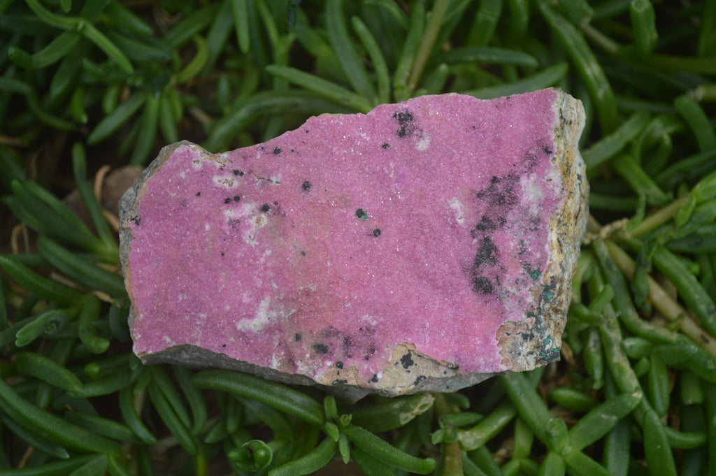 Natural Salrose Cobaltion Dolomite Specimens x 6 From Kakanda, Congo - Toprock Gemstones and Minerals 
