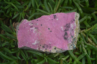 Natural Salrose Cobaltion Dolomite Specimens x 6 From Kakanda, Congo - Toprock Gemstones and Minerals 