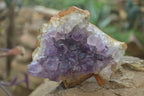 Natural Zululand Amethyst Geodes x 4 From Jozini, South Africa - Toprock Gemstones and Minerals 