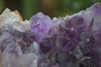 Natural Zululand Amethyst Geodes x 4 From Jozini, South Africa - Toprock Gemstones and Minerals 