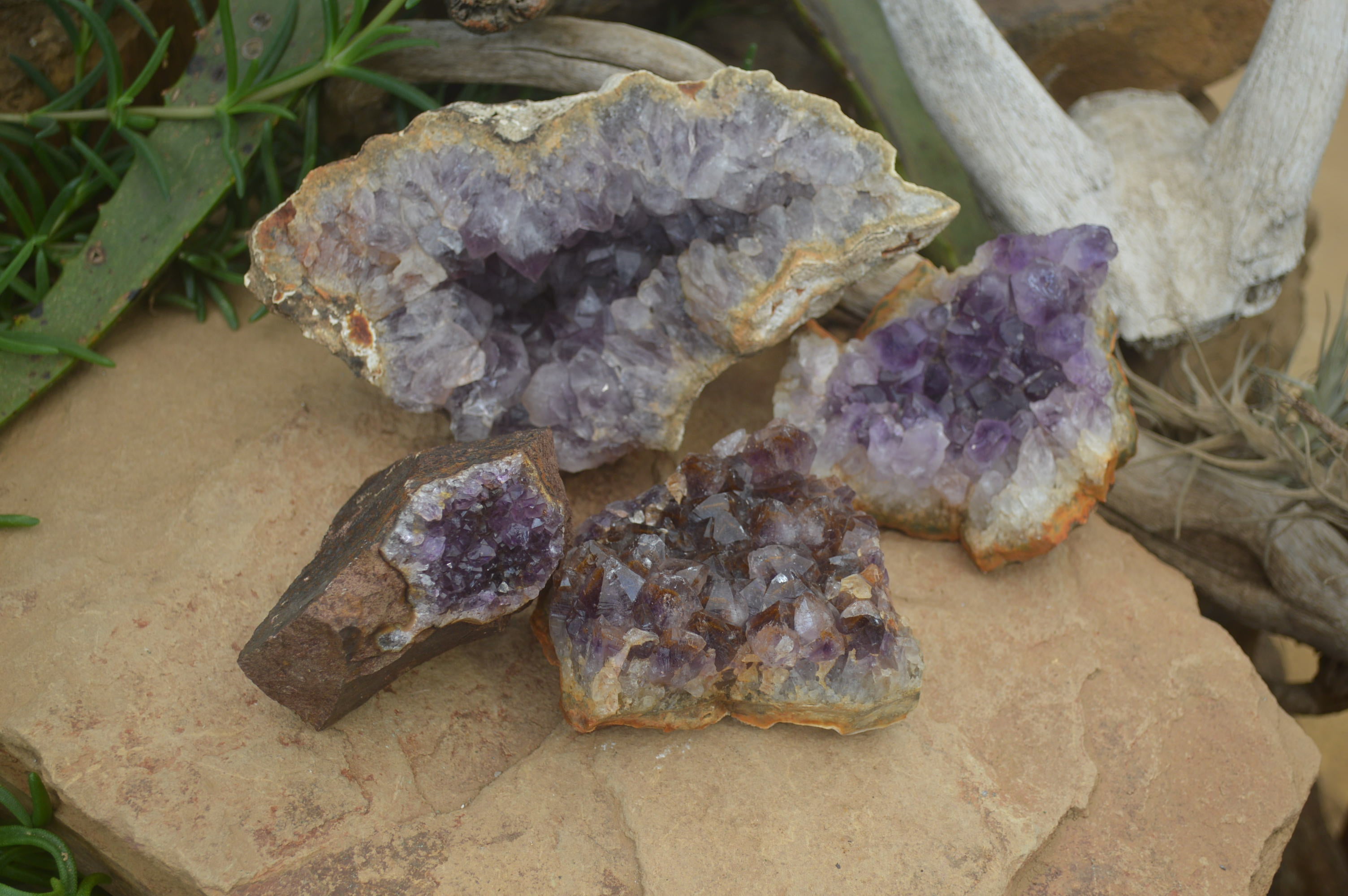 Natural Zululand Amethyst Geodes x 4 From Jozini, South Africa - Toprock Gemstones and Minerals 