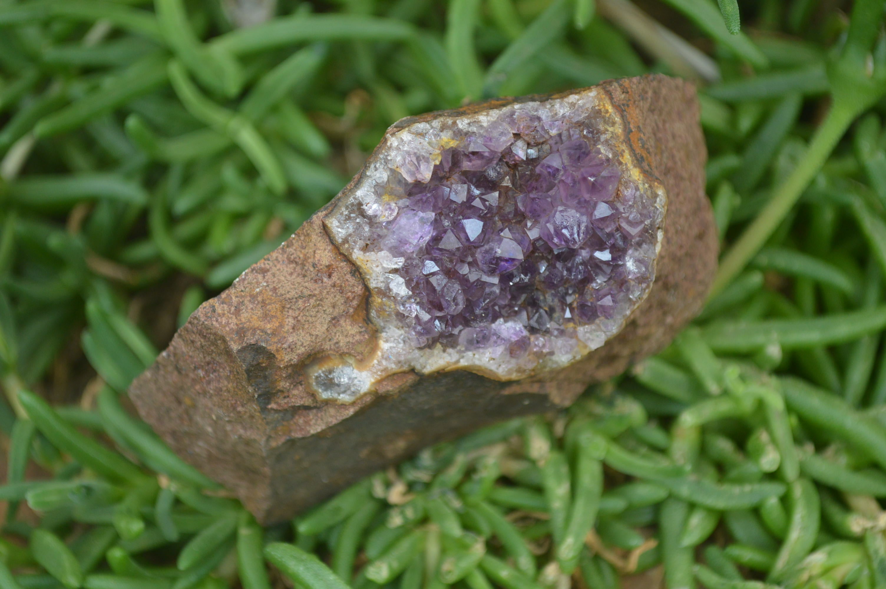 Natural Zululand Amethyst Geodes x 4 From Jozini, South Africa - Toprock Gemstones and Minerals 