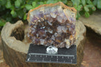 Natural Zululand Amethyst Geodes x 4 From Jozini, South Africa - Toprock Gemstones and Minerals 