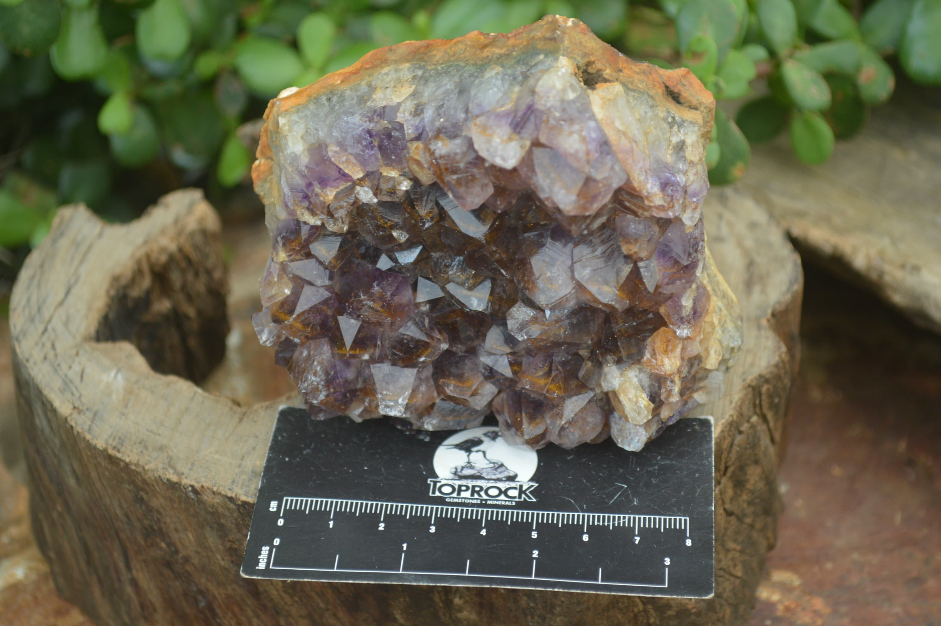 Natural Zululand Amethyst Geodes x 4 From Jozini, South Africa - Toprock Gemstones and Minerals 