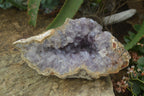Natural Zululand Amethyst Geodes x 4 From Jozini, South Africa - Toprock Gemstones and Minerals 