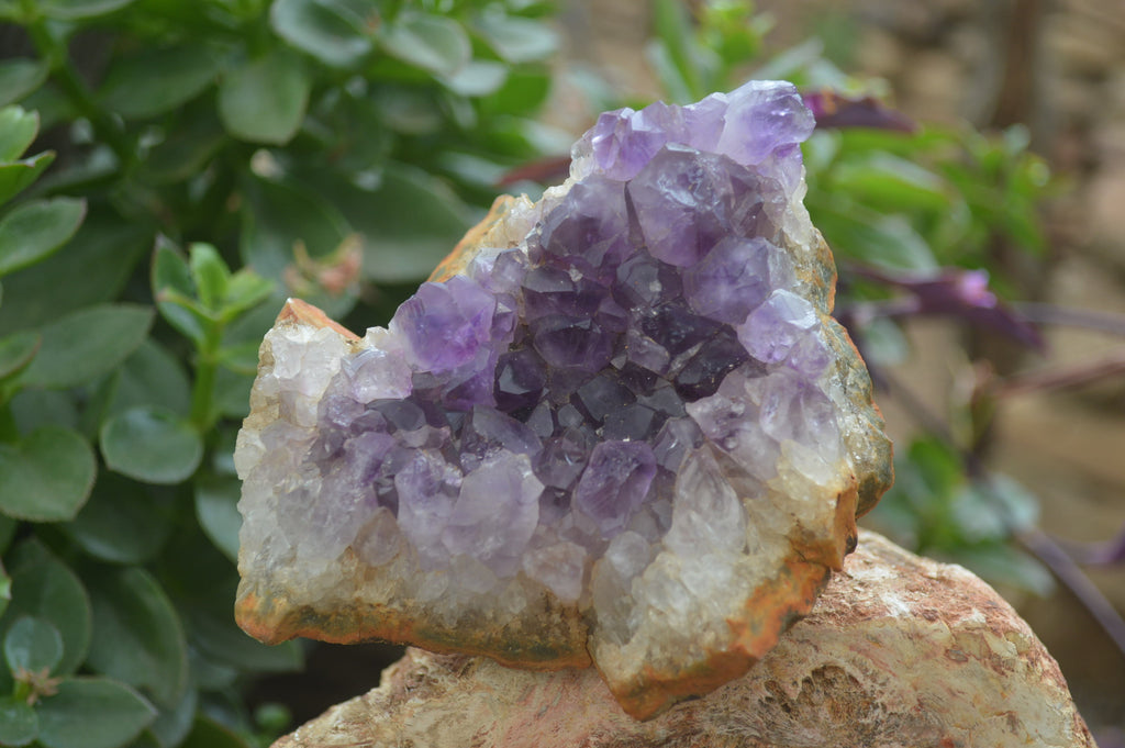 Natural Zululand Amethyst Geodes x 4 From Jozini, South Africa - Toprock Gemstones and Minerals 