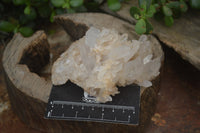 Natural Clear Quartz Clusters x 6 From Madagascar - Toprock Gemstones and Minerals 