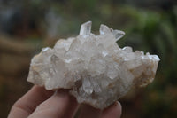 Natural Clear Quartz Clusters x 6 From Madagascar - Toprock Gemstones and Minerals 