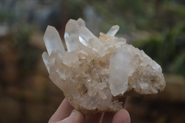 Natural Clear Quartz Clusters x 6 From Madagascar - Toprock Gemstones and Minerals 