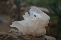 Natural Clear Quartz Clusters x 6 From Madagascar - Toprock Gemstones and Minerals 