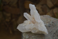 Natural Clear Quartz Clusters x 6 From Madagascar - Toprock Gemstones and Minerals 