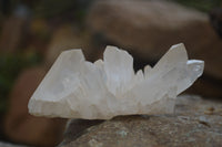 Natural Clear Quartz Clusters x 6 From Madagascar - Toprock Gemstones and Minerals 