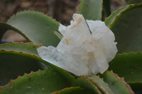 Natural Clear Quartz Clusters x 6 From Madagascar - Toprock Gemstones and Minerals 