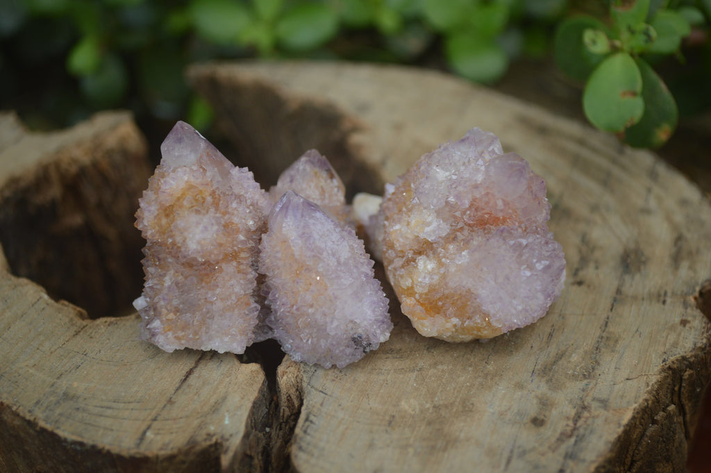 Natural Ametrine Spirit Quartz Clusters x 24 From Boekenhouthoek, South Africa - Toprock Gemstones and Minerals 