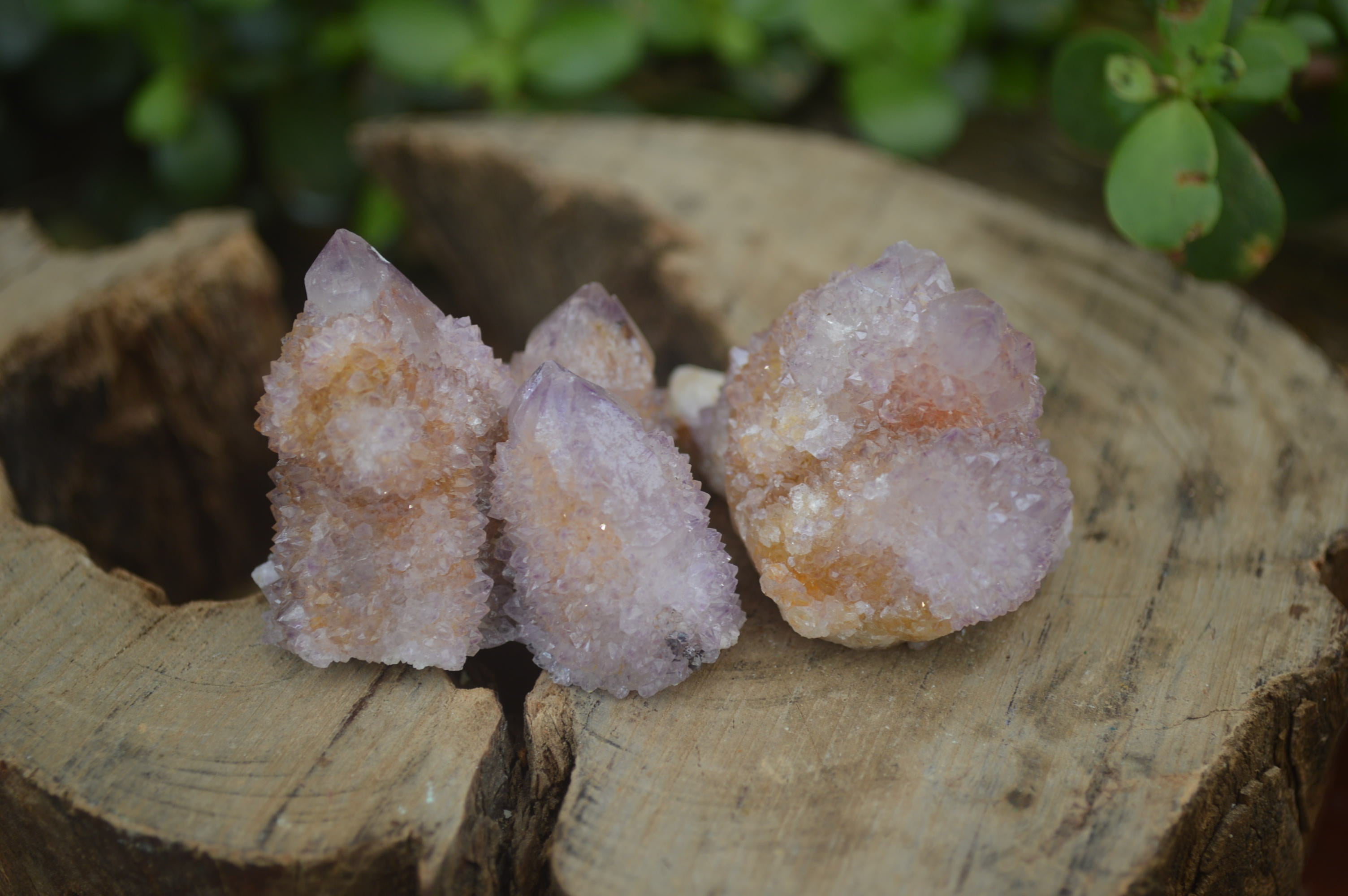 Natural Ametrine Spirit Quartz Clusters x 24 From Boekenhouthoek, South Africa - Toprock Gemstones and Minerals 