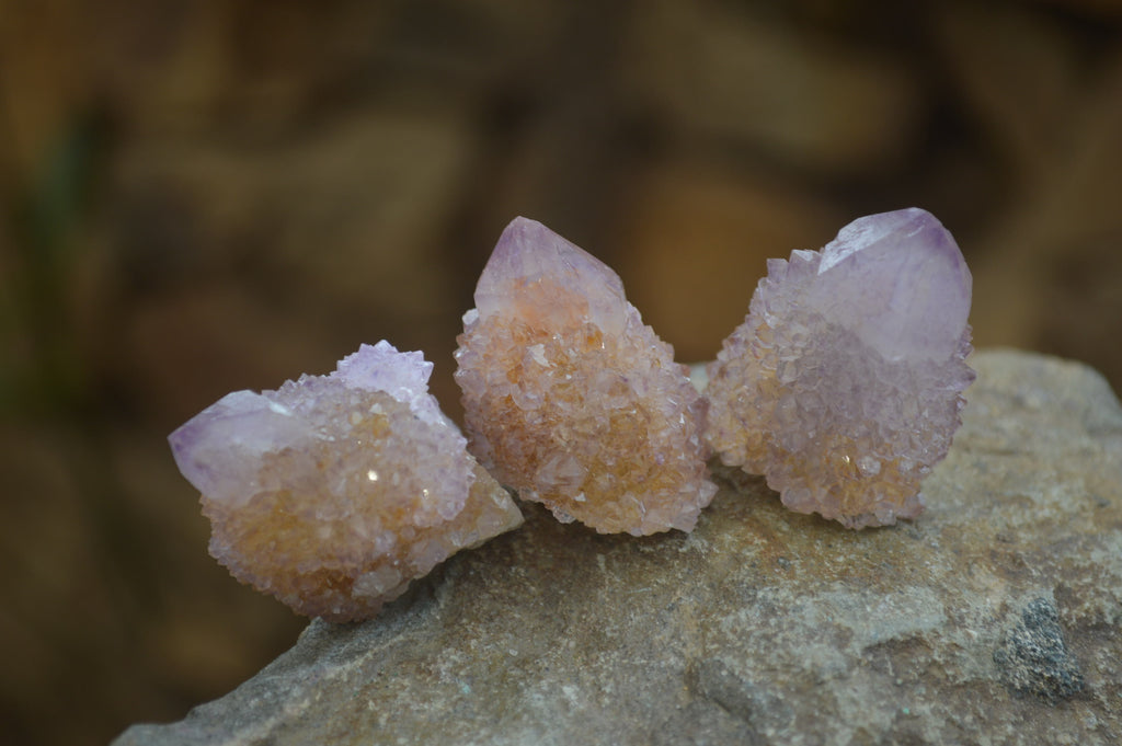 Natural Ametrine Spirit Quartz Clusters x 24 From Boekenhouthoek, South Africa - Toprock Gemstones and Minerals 