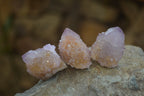 Natural Ametrine Spirit Quartz Clusters x 24 From Boekenhouthoek, South Africa - Toprock Gemstones and Minerals 