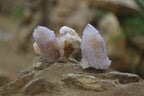 Natural Ametrine Spirit Quartz Clusters x 24 From Boekenhouthoek, South Africa - Toprock Gemstones and Minerals 