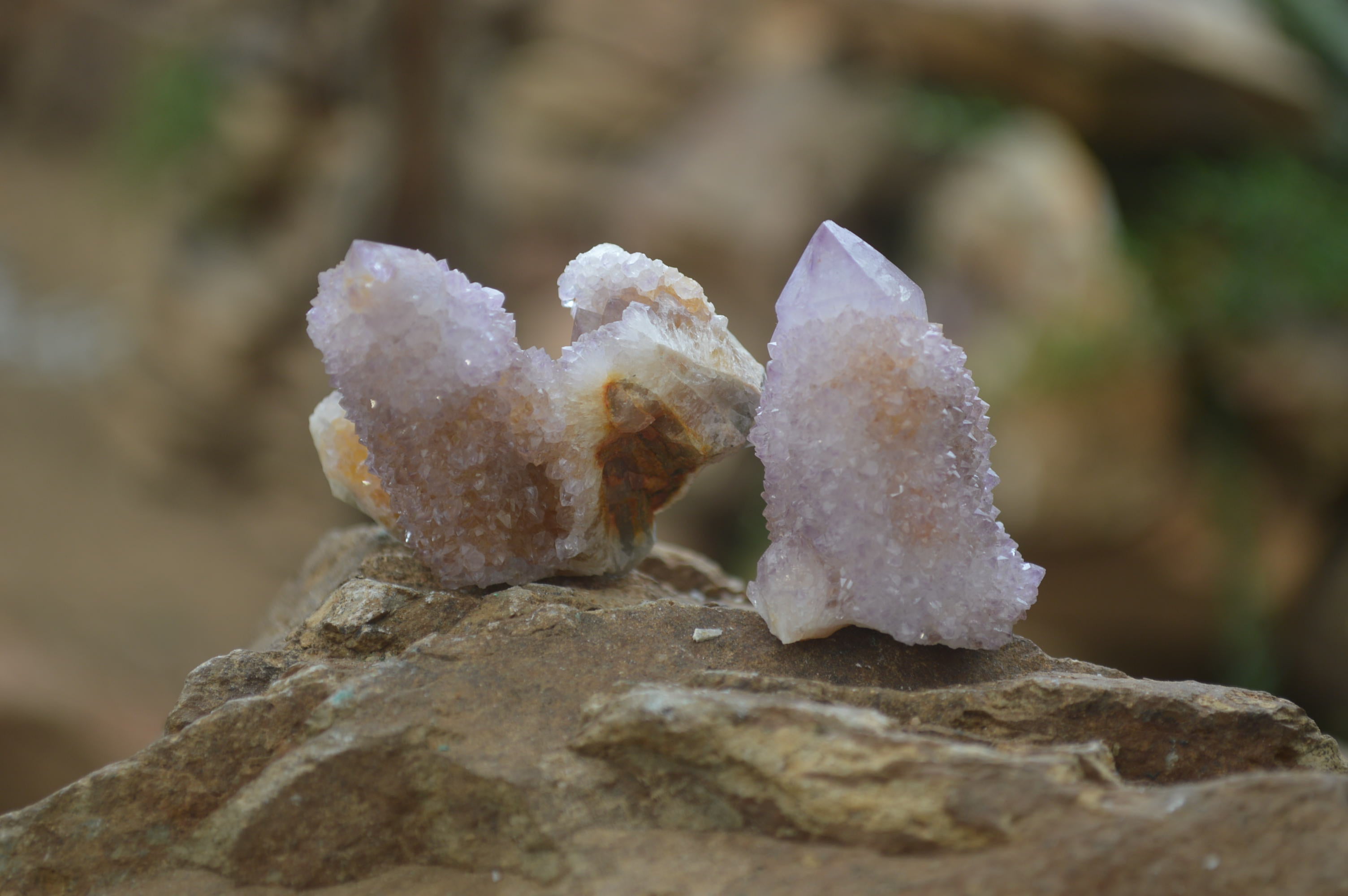 Natural Ametrine Spirit Quartz Clusters x 24 From Boekenhouthoek, South Africa - Toprock Gemstones and Minerals 