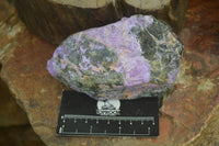 Natural Stichtite Cobbed Specimens x 5 From Barberton, South Africa - Toprock Gemstones and Minerals 