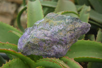 Natural Stichtite Cobbed Specimens x 5 From Barberton, South Africa - Toprock Gemstones and Minerals 
