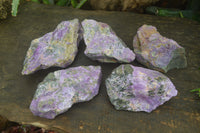 Natural Stichtite Cobbed Specimens x 5 From Barberton, South Africa - Toprock Gemstones and Minerals 