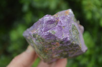 Natural Stichtite Cobbed Specimens x 5 From Barberton, South Africa - Toprock Gemstones and Minerals 