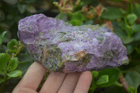 Natural Stichtite Cobbed Specimens x 5 From Barberton, South Africa - Toprock Gemstones and Minerals 