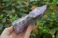 Natural Stichtite Cobbed Specimens x 5 From Barberton, South Africa - Toprock Gemstones and Minerals 