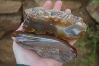 Polished On One Side River Agate Nodules x 5 From Limpopo, South Africa - Toprock Gemstones and Minerals 