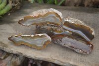 Polished On One Side River Agate Nodules x 5 From Limpopo, South Africa - Toprock Gemstones and Minerals 