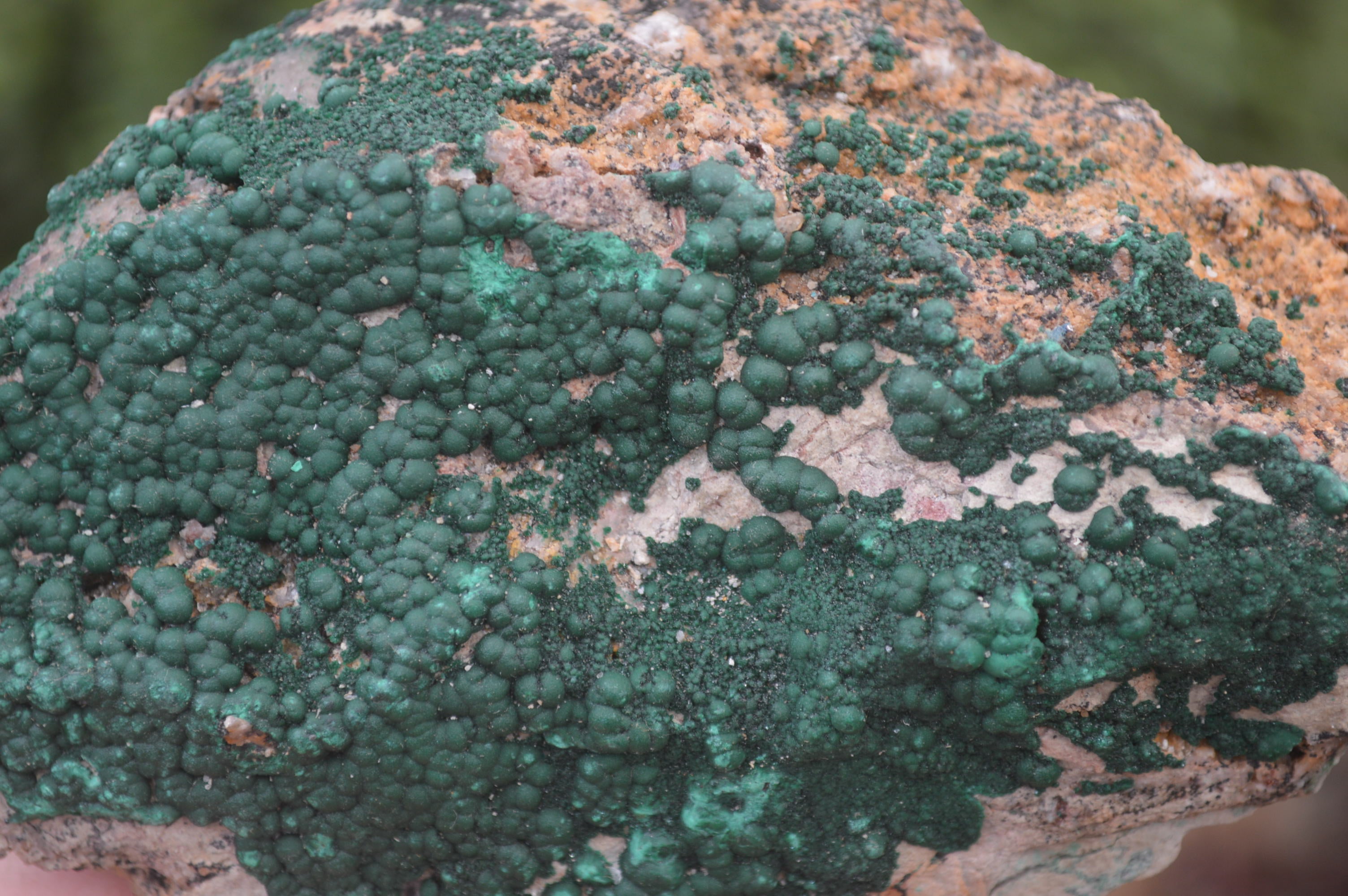 Natural Botryoidal Specimens x 6 From Kolwezi, Congo - Toprock Gemstones and Minerals 