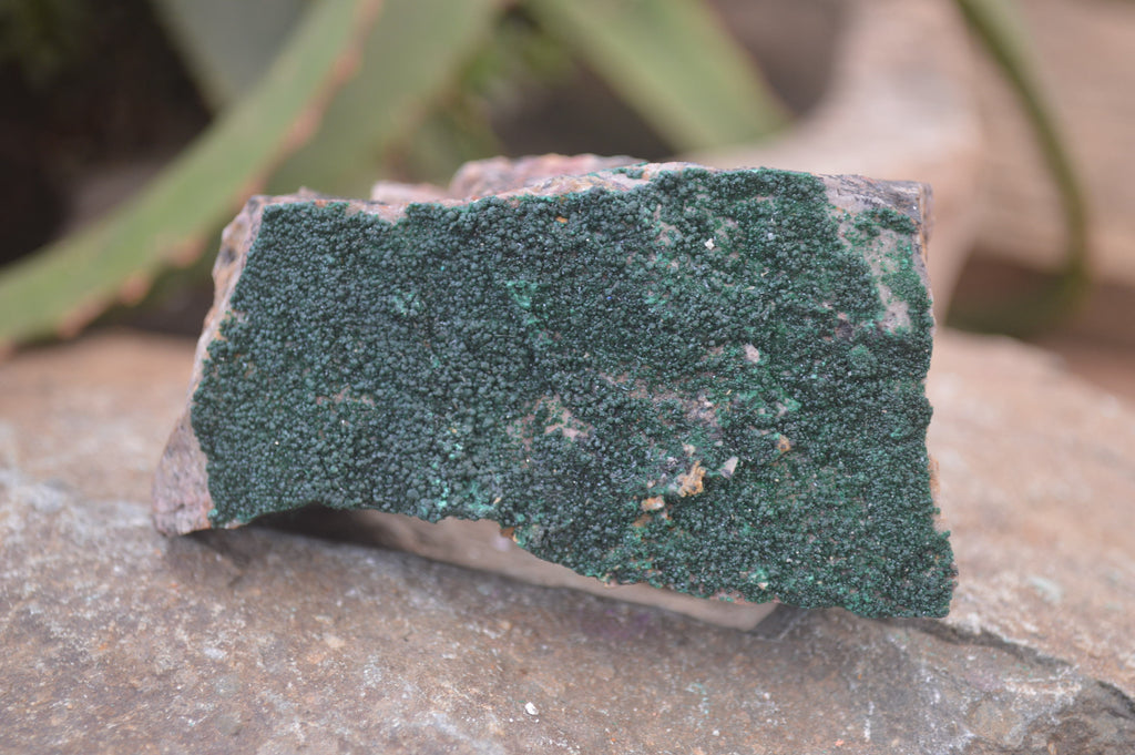 Natural Botryoidal Specimens x 6 From Kolwezi, Congo - Toprock Gemstones and Minerals 