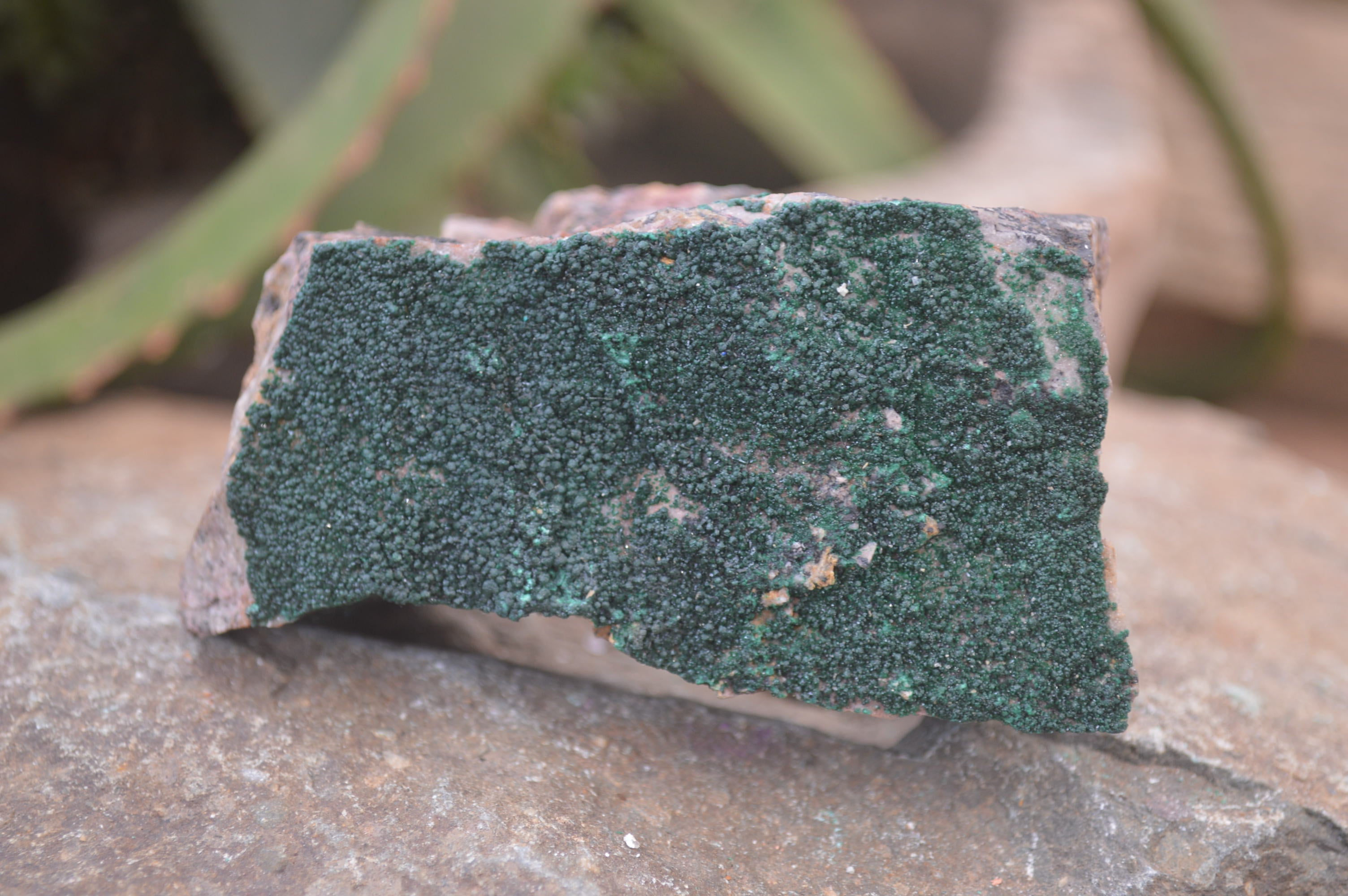 Natural Botryoidal Specimens x 6 From Kolwezi, Congo - Toprock Gemstones and Minerals 