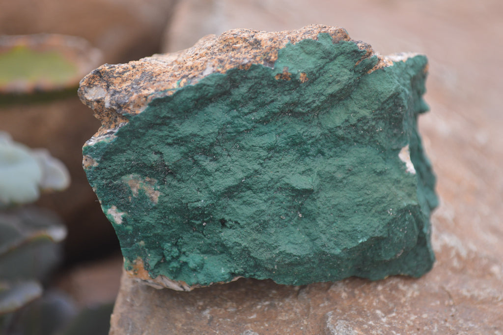 Natural Botryoidal Specimens x 6 From Kolwezi, Congo - Toprock Gemstones and Minerals 