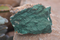 Natural Botryoidal Specimens x 6 From Kolwezi, Congo - Toprock Gemstones and Minerals 