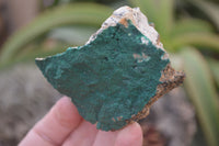 Natural Botryoidal Specimens x 6 From Kolwezi, Congo - Toprock Gemstones and Minerals 
